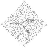 stipple 6 inch hummingbird 001